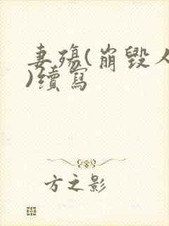 妻殇(崩毁人生)续写