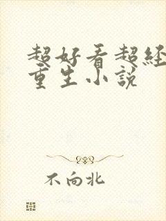 超好看超经典的重生小说