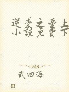 逆袭之爱上情敌小说免费下载