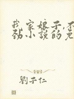 我家娘子,不对劲小说的免费阅读