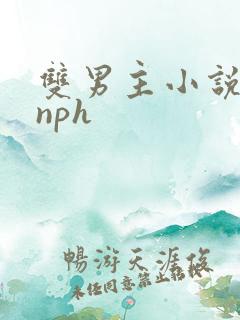 双男主小说校园nph