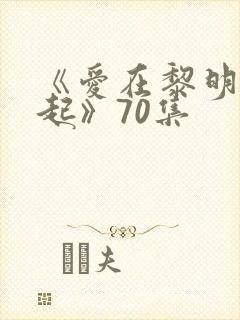 《爱在黎明前升起》70集