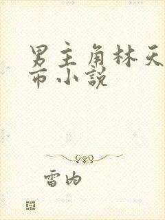 男主角林天的都市小说