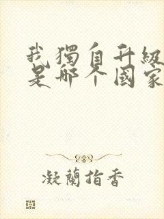 我独自升级漫画是哪个国家的