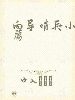 向导哨兵小说推荐