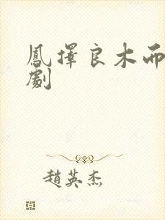 凤择良木而息短剧