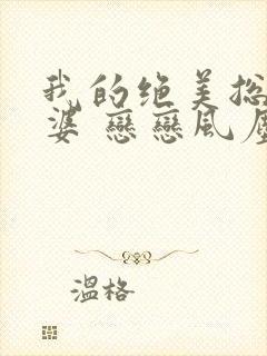 我的绝美总裁老婆 恋恋风尘