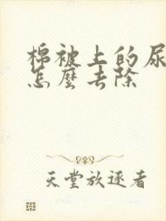 棉被上的尿骚味怎么去除