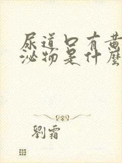 尿道口有黄色分泌物是什么原因