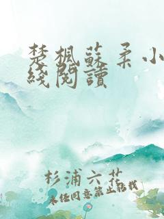 楚枫苏柔小说在线阅读