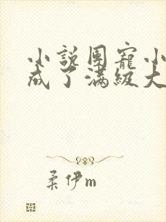 小说团宠小可爱成了满级大佬txt