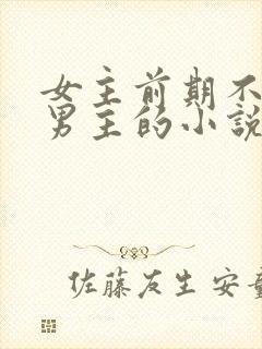 女主前期不喜欢男主的小说