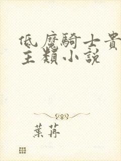 低魔骑士贵族领主类小说