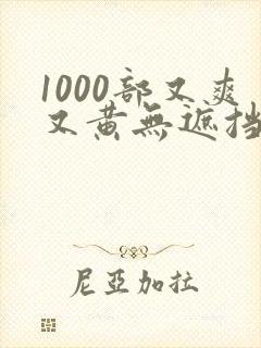 1000部又爽又黄无遮挡的视频