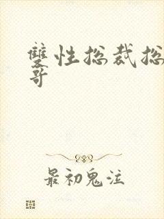 双性总裁总被哥哥