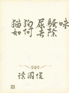 猫狗尿骚味残留如何去除