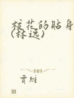 校花的贴身高手(林逸)