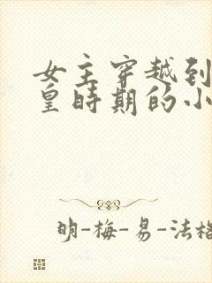 女主穿越到秦始皇时期的小说