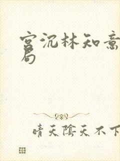 宫沉林知意大结局