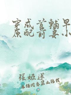 穿成首辅早逝的原配前妻小说