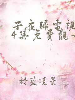 子夜归电视剧24集免费观看全集高清