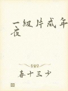 一级片成年人午夜
