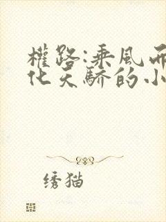 权路:乘风而起化天骄的小说