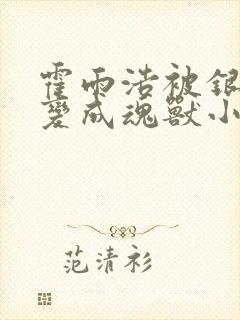 霍雨浩被银龙王变成魂兽小说