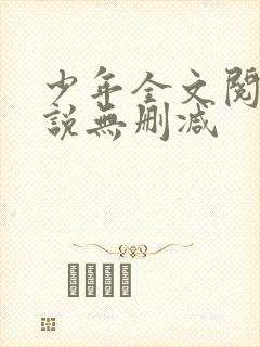少年全文阅读小说无删减