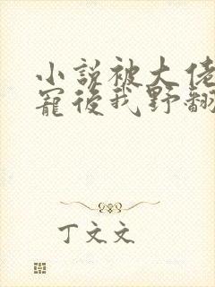 小说被大佬们团宠后我野翻了全文