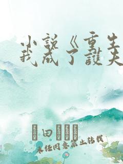 小说《重生后,我成了护夫狂魔》