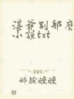 湛爷别那么暴躁小说txt