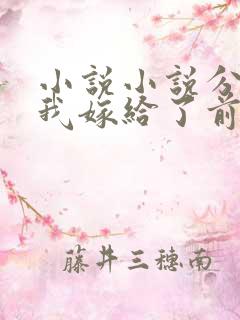 小说小说分手后我嫁给了前任小叔