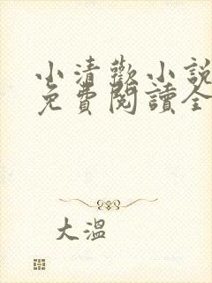 小清欢小说全文免费阅读全文