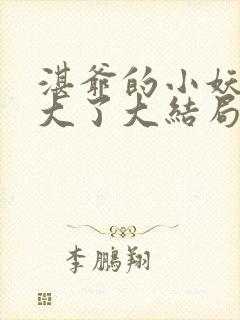 湛爷的小妖精长大了大结局