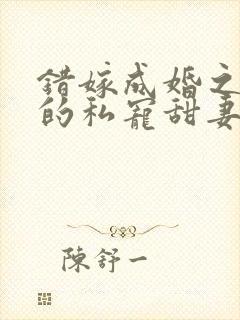 错嫁成婚之总裁的私宠甜妻完整版