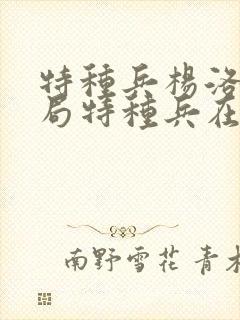 特种兵杨洛大结局特种兵在都市