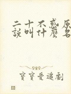 二十不惑原著小说叫什么名字来着