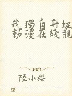 我独自升级高清动漫在线观看