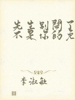 先生别闹了新娘不是你的免费观看大结局