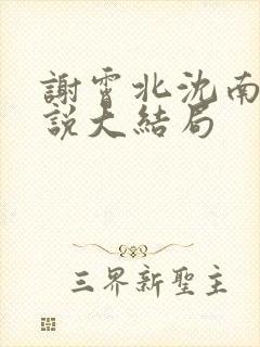 谢霄北沈南意小说大结局