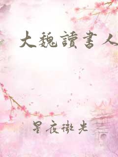 大魏读书人正版