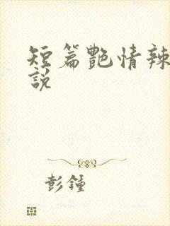 短篇艳情辣文小说