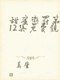 甜蜜惩罚第一季12集免费观看