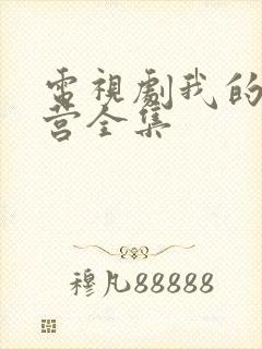 电视剧我的特一营全集