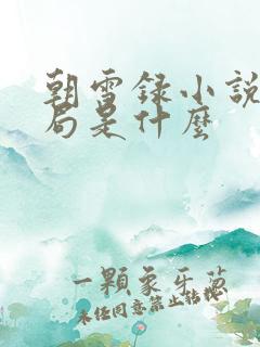 朝雪录小说大结局是什么