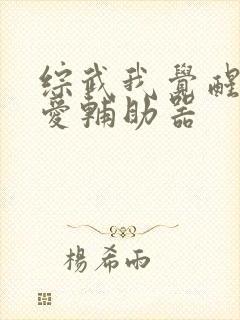 综武我觉醒了恋爱辅助器