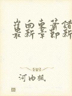 崔向东萧错小说最新章节新笔趣阁