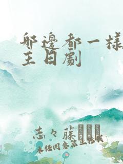 哪边都一样双男主日剧