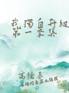 我独自升级动漫第一季集